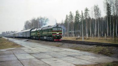 Тепловоз с составом специальных вагонов на подъездном пути в лесу