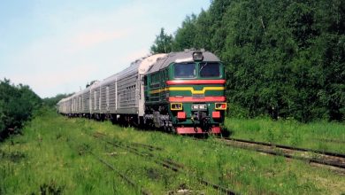 Тепловоз с составом из специальных вагонов на заросшем пути
