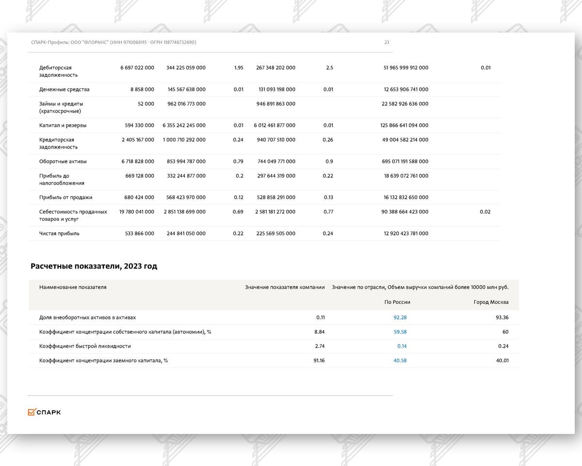 Выписка из СПАРК-Интерфакс (финансовые показатели) по компании ООО «ФЛОРАНС», лист 16
